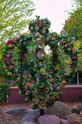 IMG_7168_herbstkrone2024.jpg