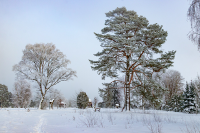 Groß (260111_Schnee_am_Lönsstein_IMG_5465).jpeg