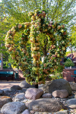 Groß (IMG_4940).jpeg