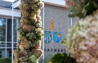 Artikelbild zu Binden der Herbstkronen in Müden und Faßberg