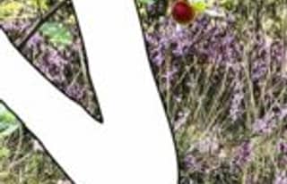 Artikelbild zu Faßberg - Aktueller Sachstand zur Sanierung des Lehrschwimmbeckens