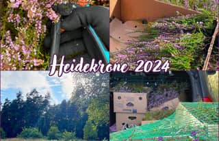 Artikelbild zu Faßberg - Binden der Heidekrone 2024