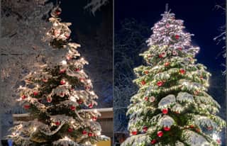 Artikelbild zu Gemeinde Faßberg: Wintertraum bei Nacht