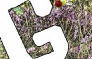 Artikelbild zu Gewerbe auf MoinHei.de - Raum für Werbung und Anzeigen