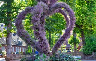 Artikelbild zu Heidekronen made in Faßberg