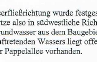 Artikelbild zu Post - Café & mehr - MoinHei.de