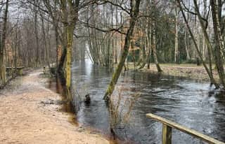 Artikelbild zu Post - Café & mehr - MoinHei.de