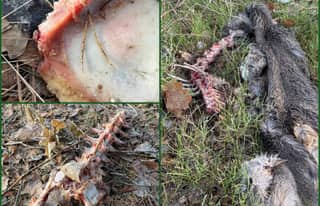 Artikelbild zu Post - Café & mehr - MoinHei.de