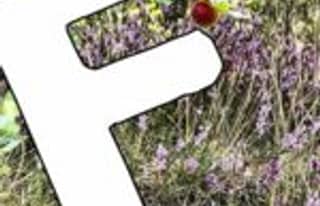 Artikelbild zu Post - Fotos und Videos aus unserer Region - MoinHei.de