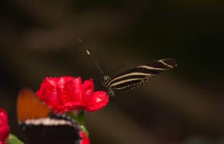 Artikelbild zu Post - Fotos und Videos aus unserer Region - MoinHei.de