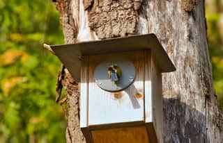 Artikelbild zu Post - Fotos und Videos aus unserer Region - MoinHei.de