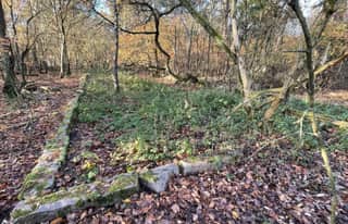 Artikelbild zu Post - Fotos und Videos aus unserer Region - MoinHei.de