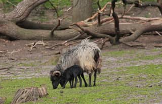Artikelbild zu Post - Fotos und Videos aus unserer Region - MoinHei.de