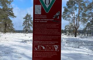 Artikelbild zu Post - Fotos und Videos aus unserer Region - MoinHei.de