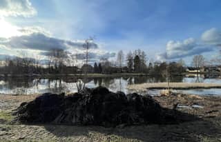 Artikelbild zu Post - Fotos und Videos aus unserer Region - MoinHei.de