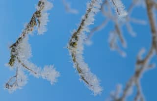 Artikelbild zu Post - Fotos und Videos aus unserer Region - MoinHei.de