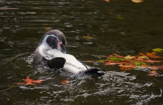 Artikelbild zu Post - Fotos und Videos aus unserer Region - MoinHei.de