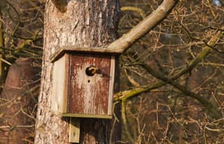 Artikelbild zu Post - Fotos und Videos aus unserer Region - MoinHei.de
