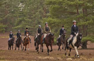 Artikelbild zu Post - Fotos und Videos aus unserer Region - MoinHei.de