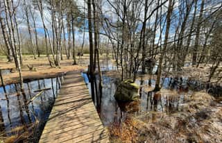 Artikelbild zu Post - Fotos und Videos aus unserer Region - MoinHei.de