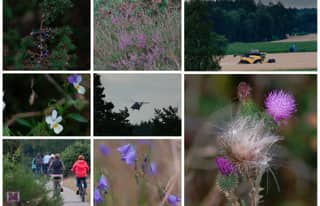 Artikelbild zu Post - Fotos und Videos aus unserer Region - MoinHei.de