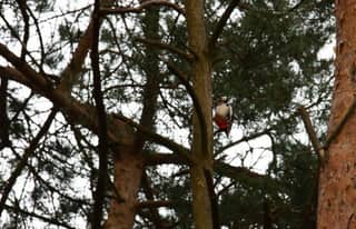 Artikelbild zu Post - Fotos und Videos aus unserer Region - MoinHei.de