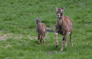 Artikelbild zu Post - Fotos und Videos aus unserer Region - MoinHei.de