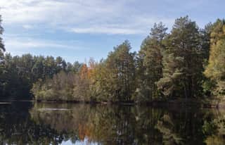 Artikelbild zu Post - Fotos und Videos aus unserer Region - MoinHei.de