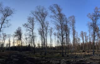 Artikelbild zu Post - Fotos und Videos aus unserer Region - MoinHei.de