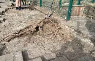 Artikelbild zu Post - Kinder- und Jugendarbeit - MoinHei.de