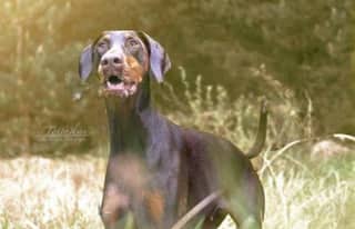 Artikelbild zu Post - Marktplatz & Gewerbe - MoinHei.de