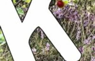 Artikelbild zu Post - Mit allen Sinnen - MoinHei.de