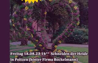 Artikelbild zu Post - Mit allen Sinnen - MoinHei.de