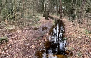 Artikelbild zu Post - Rathaus - MoinHei.de