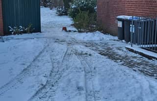 Artikelbild zu Post - Rathaus - MoinHei.de