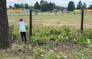 Artikelbild zu Post - Rathaus - MoinHei.de
