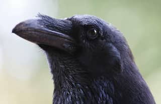 Artikelbild zu Post - Tourismus & Freizeit - MoinHei.de