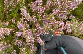 Artikelbild zu Post - Vereine, Gruppen und Initiativen - MoinHei.de