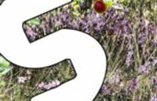 Artikelbild zu Sport und Fitness im Celler Nordkreis