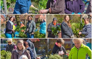 Artikelbild zu Traditionelles Binden der Osterkronen für die Gemeinde Faßberg