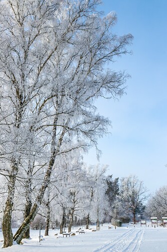 Groß (260111_Schnee_am_Lönsstein_IMG_5426).jpeg