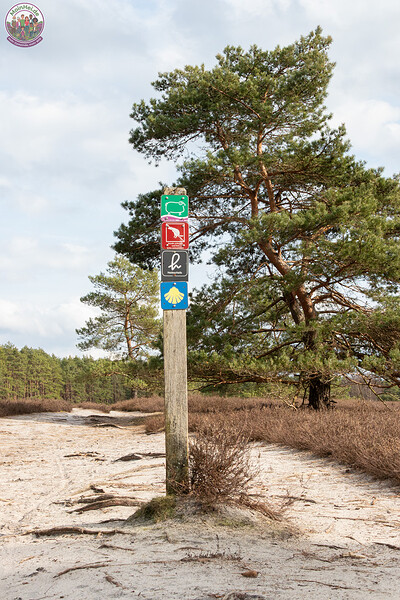 260228_Schleppjagd-Misselhorn-2026-MoinHeide_IMG_5843.jpg