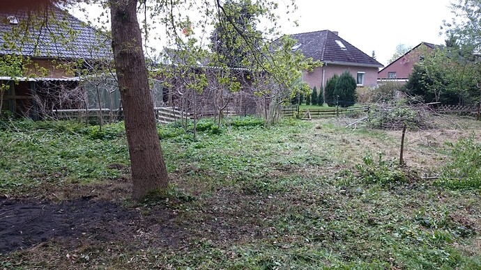 Mai2025-Pachtgrundstück-Müllentfernt-Brombeerenweg.jpeg