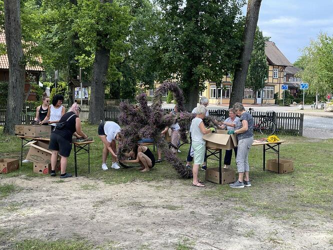 IMG_6594 conv (Groß).jpeg