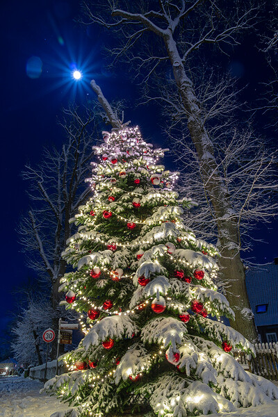 260103_Nachtaufnahmen_Schnee_IMG_5415.jpg