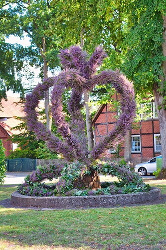Groß IMG_6612heidekrone082024.jpeg
