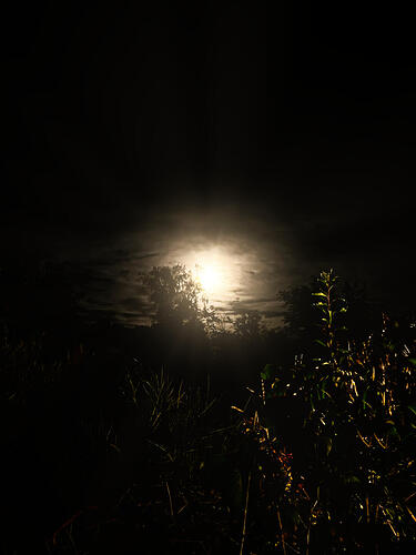 IMG_7695.jpg