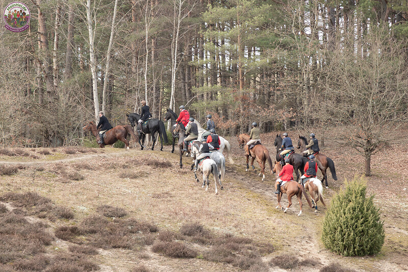 260228_Schleppjagd-Misselhorn-2026-MoinHeide_IMG_6012.jpg