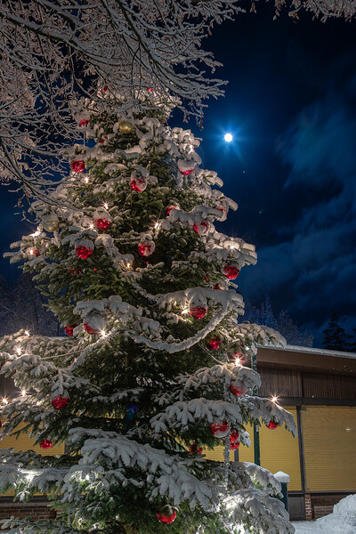 260103_Nachtaufnahmen_Schnee_IMG_5309.jpg