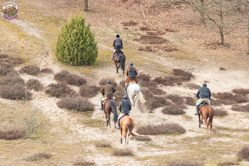 260228_Schleppjagd-Misselhorn-2026-MoinHeide_IMG_5986.jpg